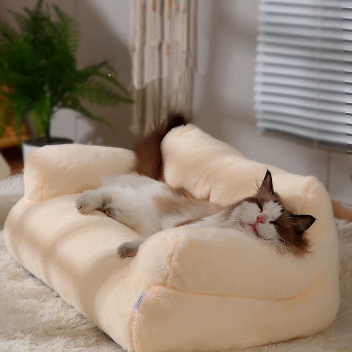 Pet Bed for Cats Sofa Winter Warm Dog Bed Soft Sofa for Dog with Bunny down Bottom Waterproof Dog Sofa Puppy Bed with Backrest